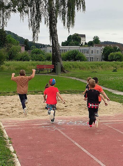 Bild6