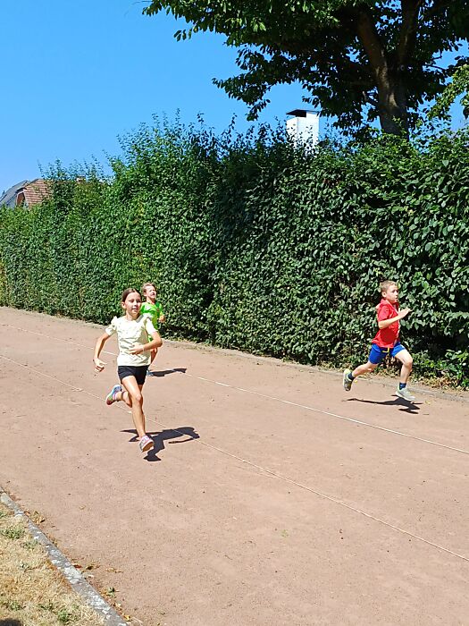 BILD1