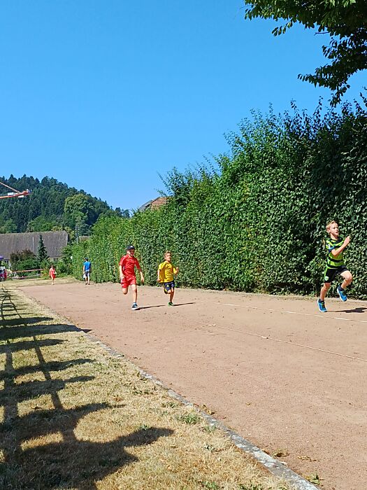BILD2