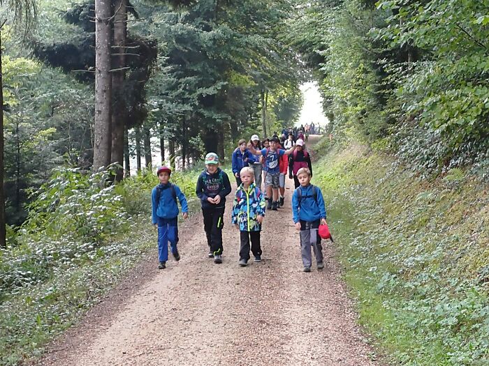 Herbstwanderung Langnau Bild 1