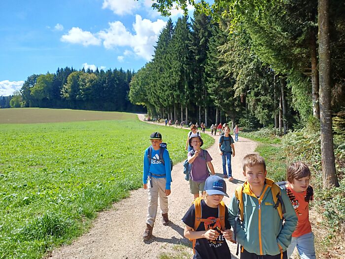 Herbstwanderung Langnau Bild 5
