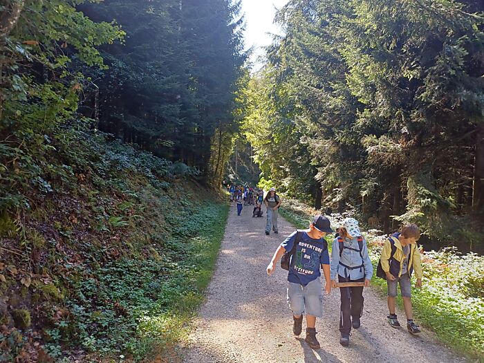 Herbstwanderung Langnau Bild 6